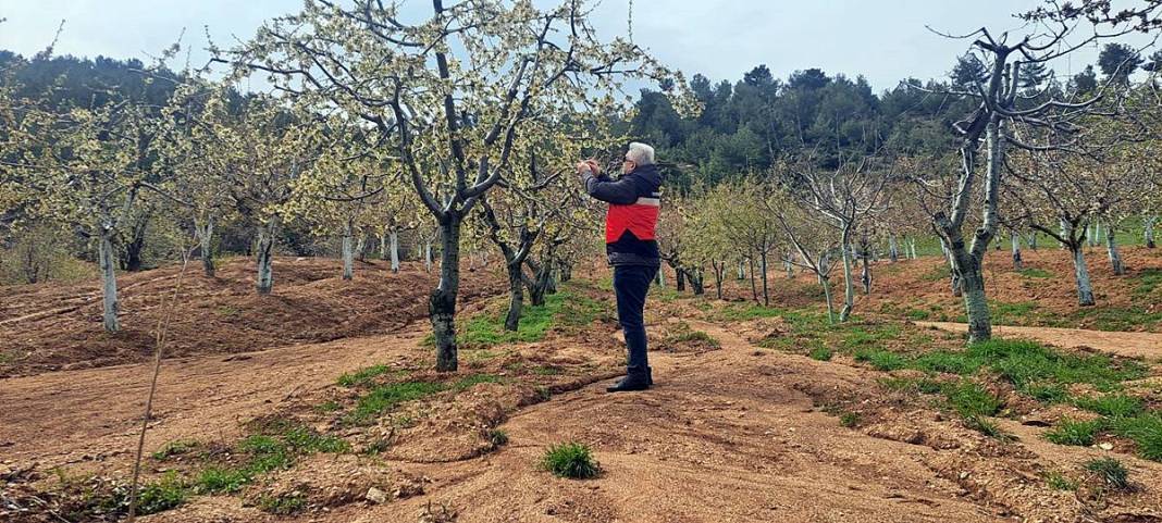 Tarımda tarihin en büyük felaketi yaşanıyor! Meyve, sebze fiyatlarında rekor artış yaşanacak 20
